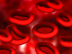 Zdjęcie przedstawia krwinki czerwone.