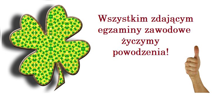 Egzaminy zawodowe