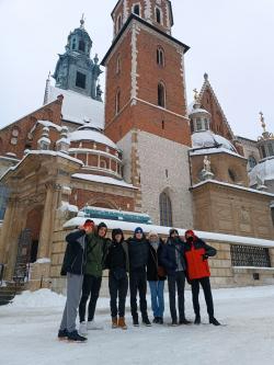 Uczniowie klasy IVAT na tle Wawelu
