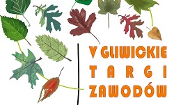 Plakat promujący zawody, brązowe liście na białym tle
