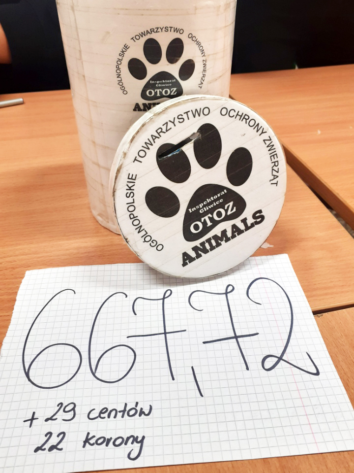 puszka na pieniądze i kwota