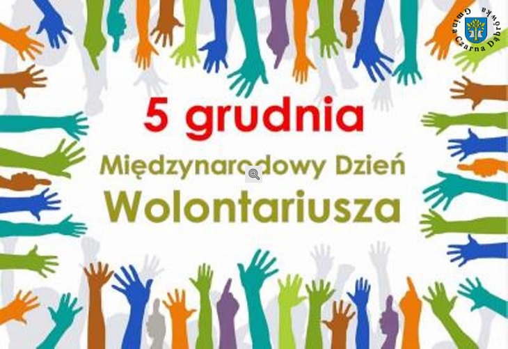 wolontariusz2