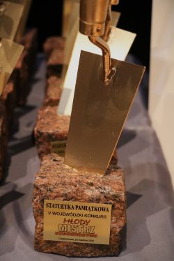 Młody Mistrz Budownictwa - statuetka