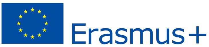 2 logo erasmus 730